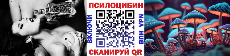 гидра ссылка  Оса  Галлюциногенные грибы мухоморы 